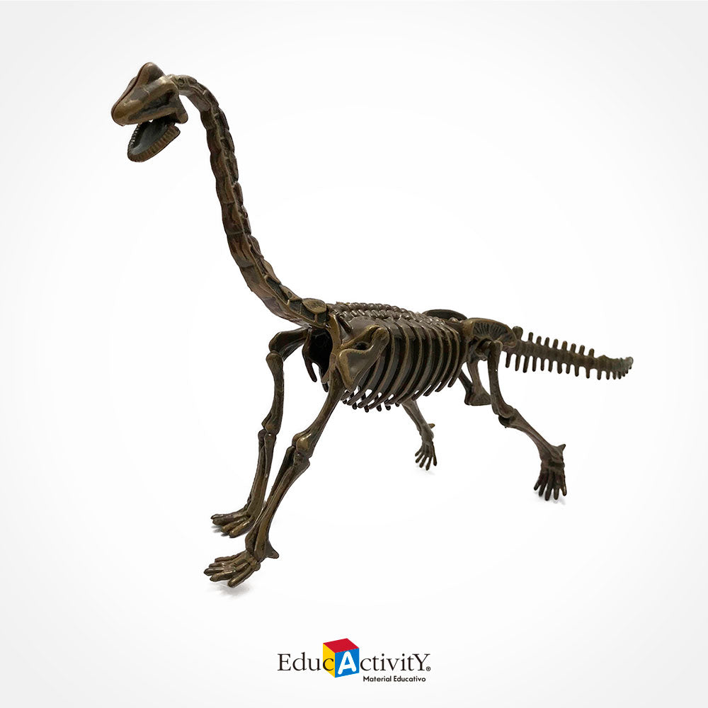 Rompecabezas Esqueleto de Dinosaurios 3D