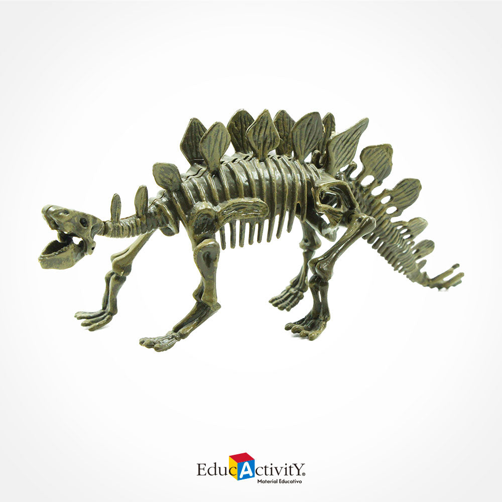 Rompecabezas Esqueleto de Dinosaurios 3D