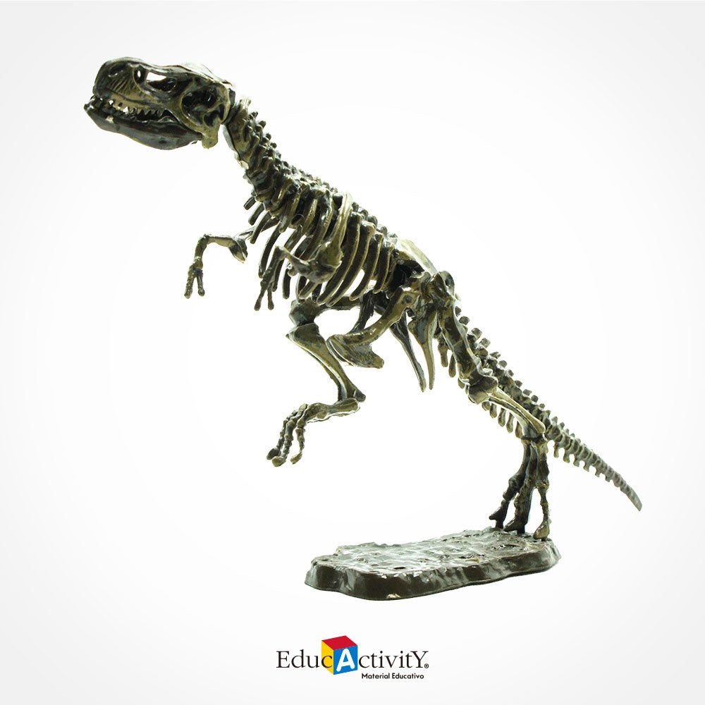 Rompecabezas Esqueleto de Dinosaurios 3D