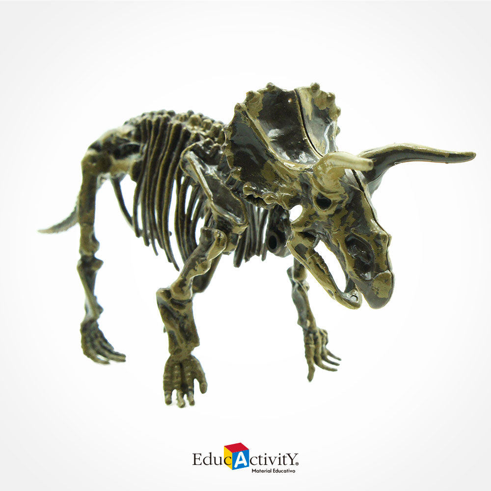 Rompecabezas Esqueleto de Dinosaurios 3D