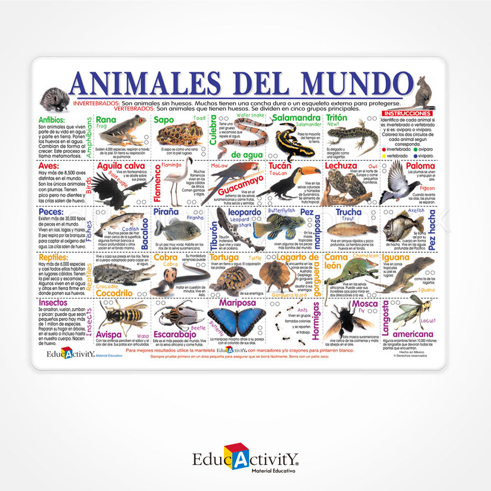 Manteleta Educativa Animales del Mundo